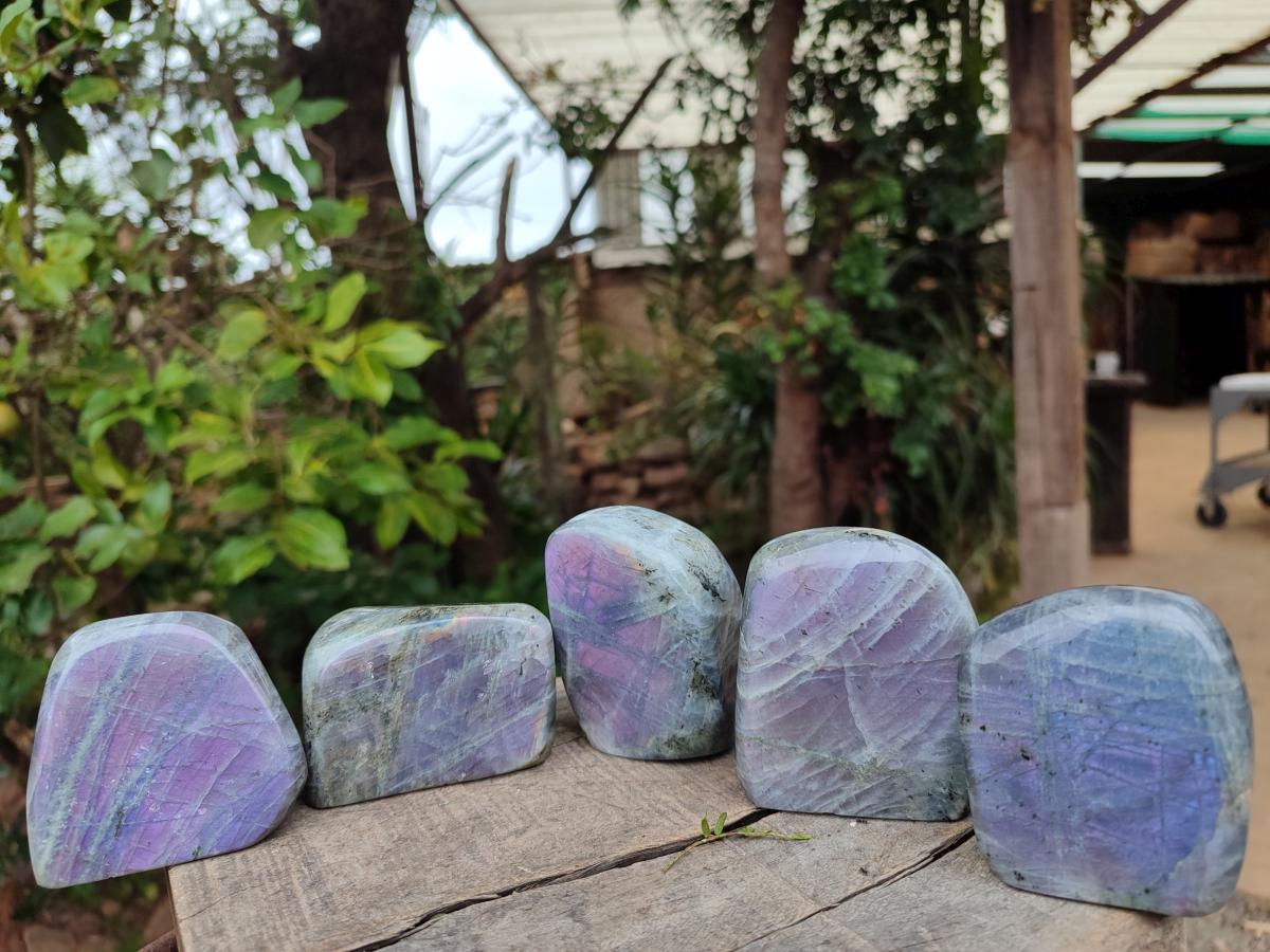 Polished Rare Purple Sunset Flash Labradorite Standing Display Pieces x 6 From Madagascar - Toprock Gemstones and Minerals 