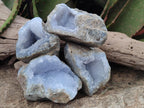Natural Blue Lace Agate Geode Specimens x 6 From Nsanje, Malawi - Toprock Gemstones and Minerals 
