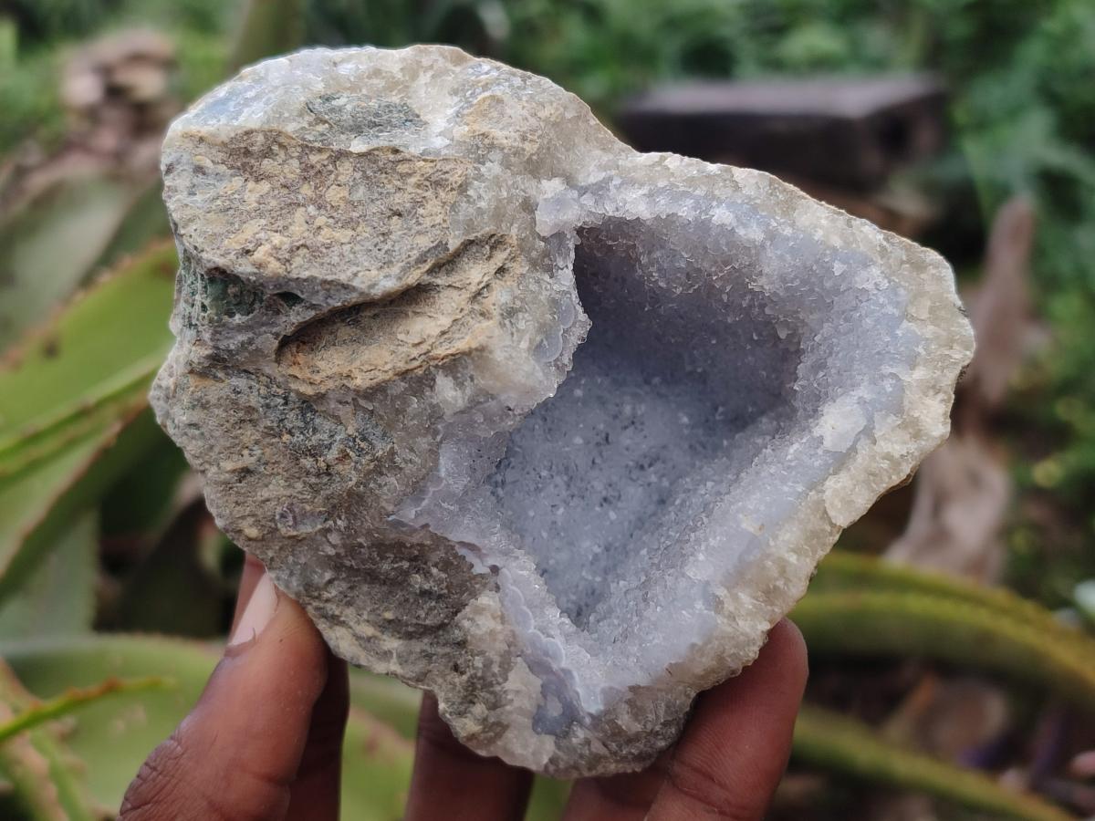Natural Blue Lace Agate Geode Specimens x 6 From Nsanje, Malawi - Toprock Gemstones and Minerals 