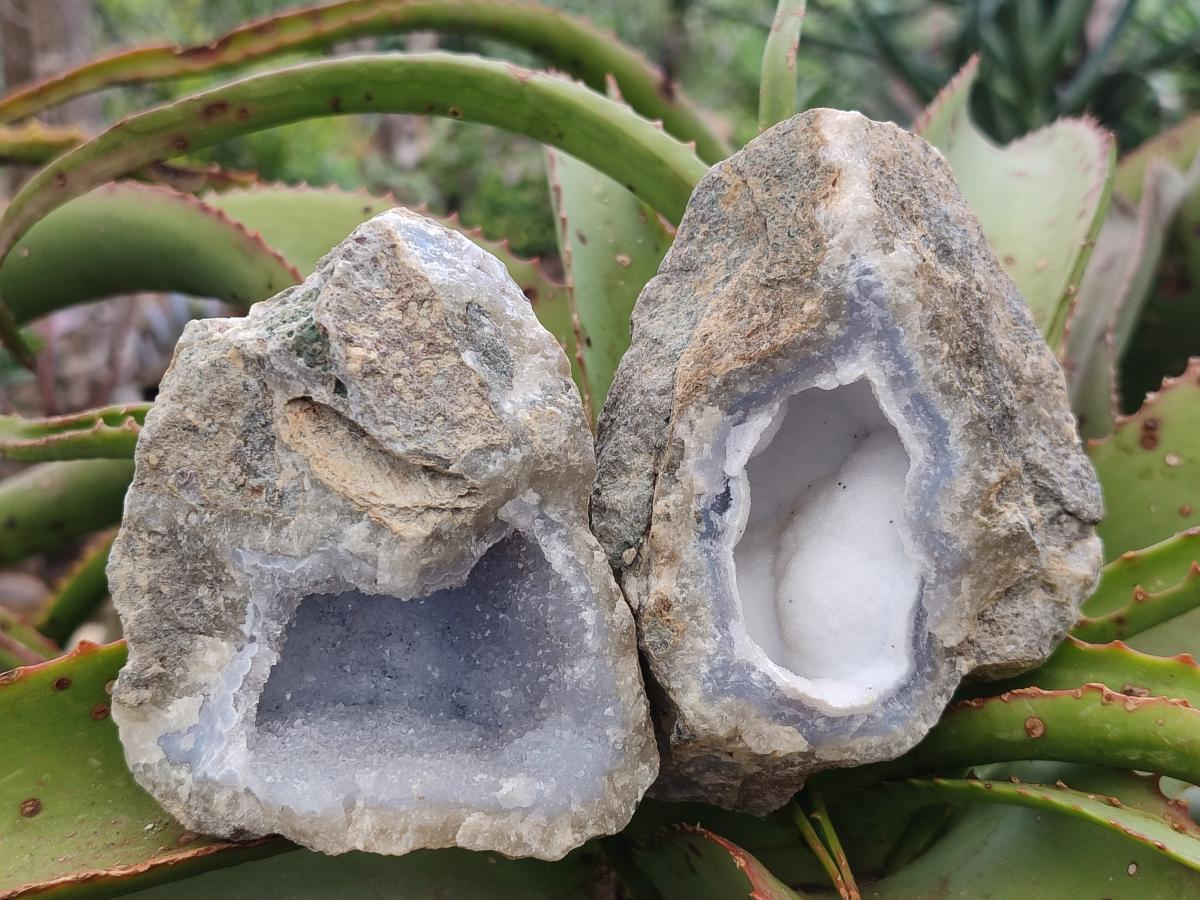 Natural Blue Lace Agate Geode Specimens x 6 From Nsanje, Malawi - Toprock Gemstones and Minerals 