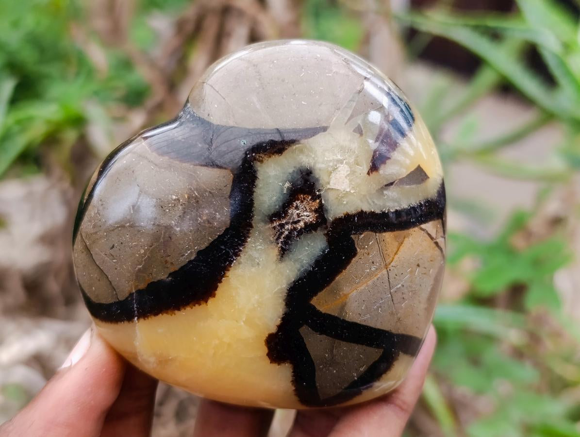 Polished Large Septerye Hearts x 12 From Mahajanga, Madagascar - Toprock Gemstones and Minerals 