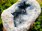 Natural Blue Celestite Geode Specimen x 1 From Sakoany, Madagascar - Toprock Gemstones and Minerals 