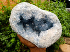 Natural Blue Celestite Geode Specimen x 1 From Sakoany, Madagascar - Toprock Gemstones and Minerals 