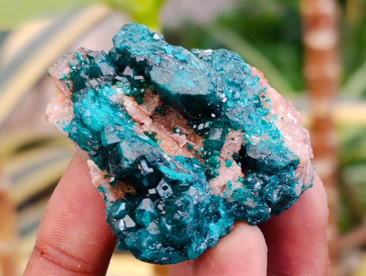 Natural Dioptase on Dolomite Specimens x 12 From Likasi, Congo - Toprock Gemstones and Minerals 