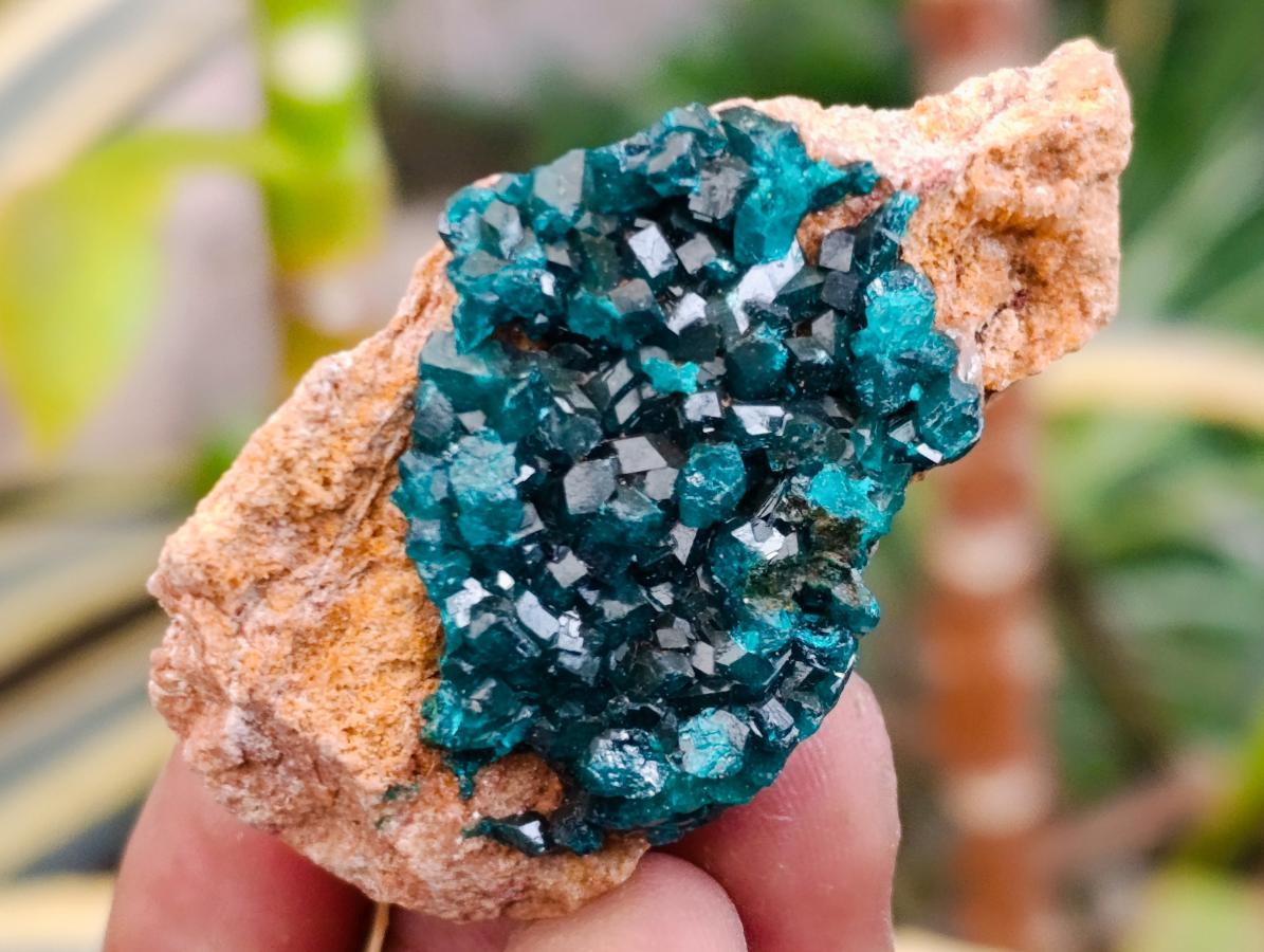 Natural Dioptase on Dolomite Specimens x 12 From Likasi, Congo - Toprock Gemstones and Minerals 