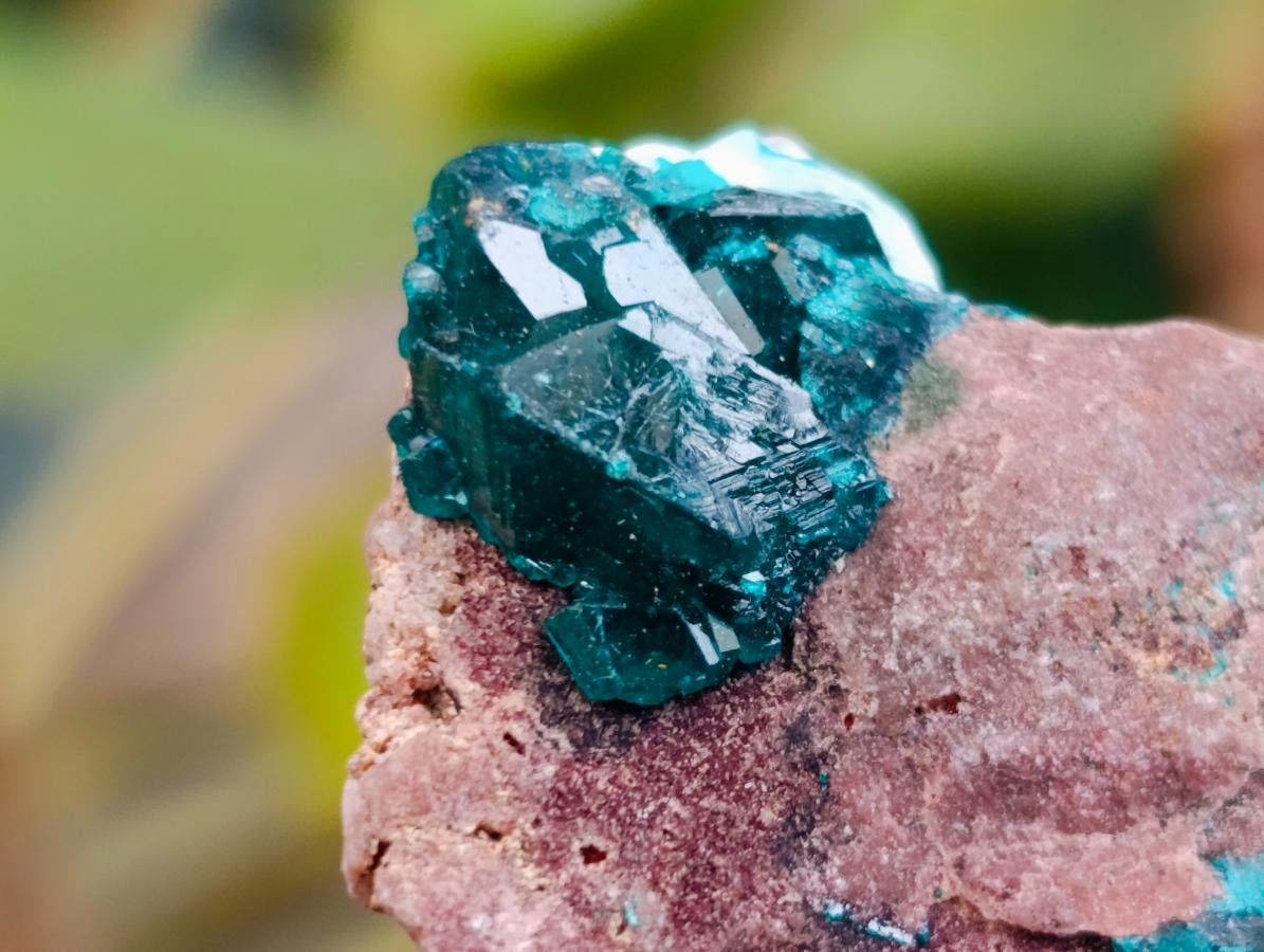 Natural Dioptase on Dolomite Specimens x 12 From Likasi, Congo - Toprock Gemstones and Minerals 