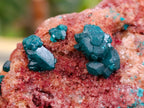 Natural Dioptase on Dolomite Specimens x 12 From Likasi, Congo - Toprock Gemstones and Minerals 