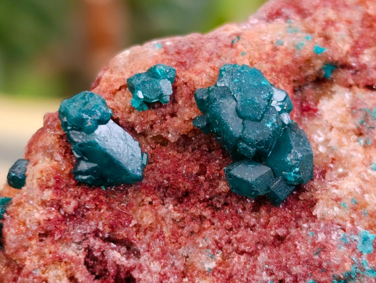 Natural Dioptase on Dolomite Specimens x 12 From Likasi, Congo - Toprock Gemstones and Minerals 