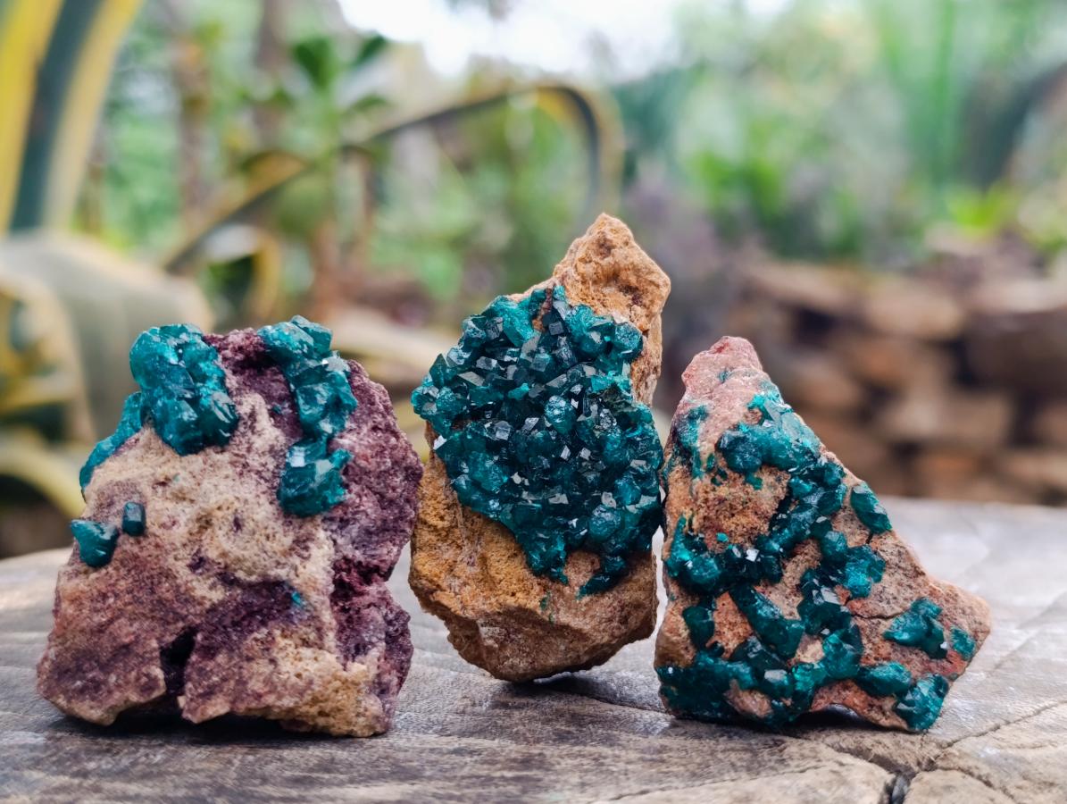Natural Dioptase on Dolomite Specimens x 12 From Likasi, Congo - Toprock Gemstones and Minerals 