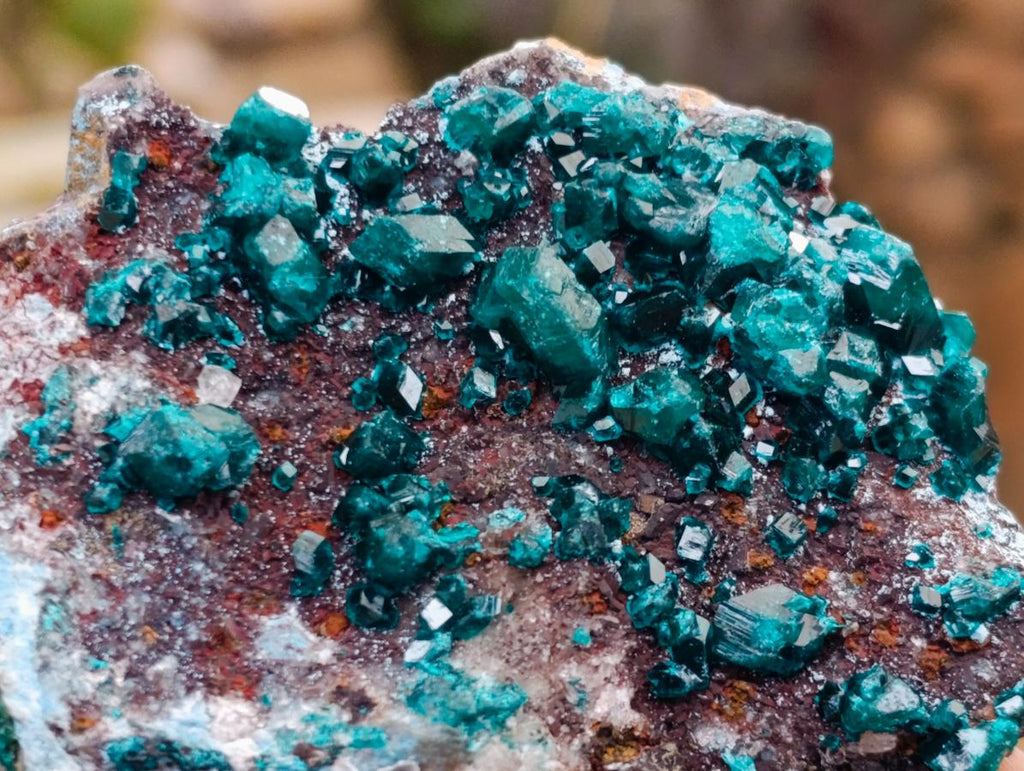 Natural Dioptase on Dolomite Specimens x 12 From Likasi, Congo - Toprock Gemstones and Minerals 