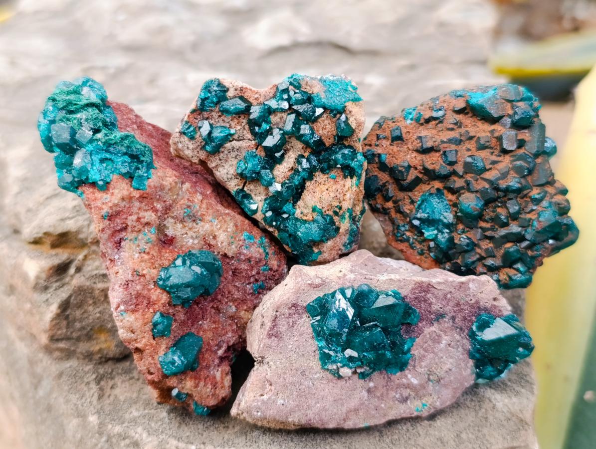 Natural Dioptase on Dolomite Specimens x 12 From Likasi, Congo - Toprock Gemstones and Minerals 