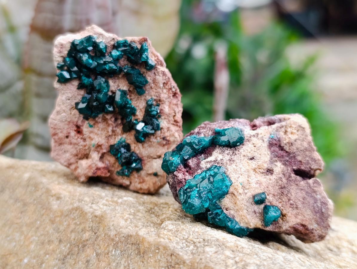 Natural Dioptase on Dolomite Specimens x 12 From Likasi, Congo - Toprock Gemstones and Minerals 