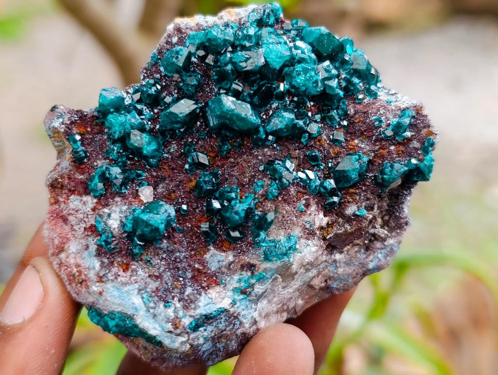 Natural Dioptase on Dolomite Specimens x 12 From Likasi, Congo - Toprock Gemstones and Minerals 
