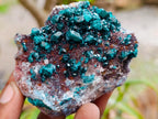 Natural Dioptase on Dolomite Specimens x 12 From Likasi, Congo - Toprock Gemstones and Minerals 