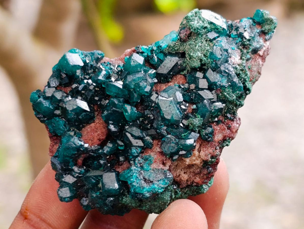 Natural Dioptase on Dolomite Specimens x 12 From Likasi, Congo - Toprock Gemstones and Minerals 