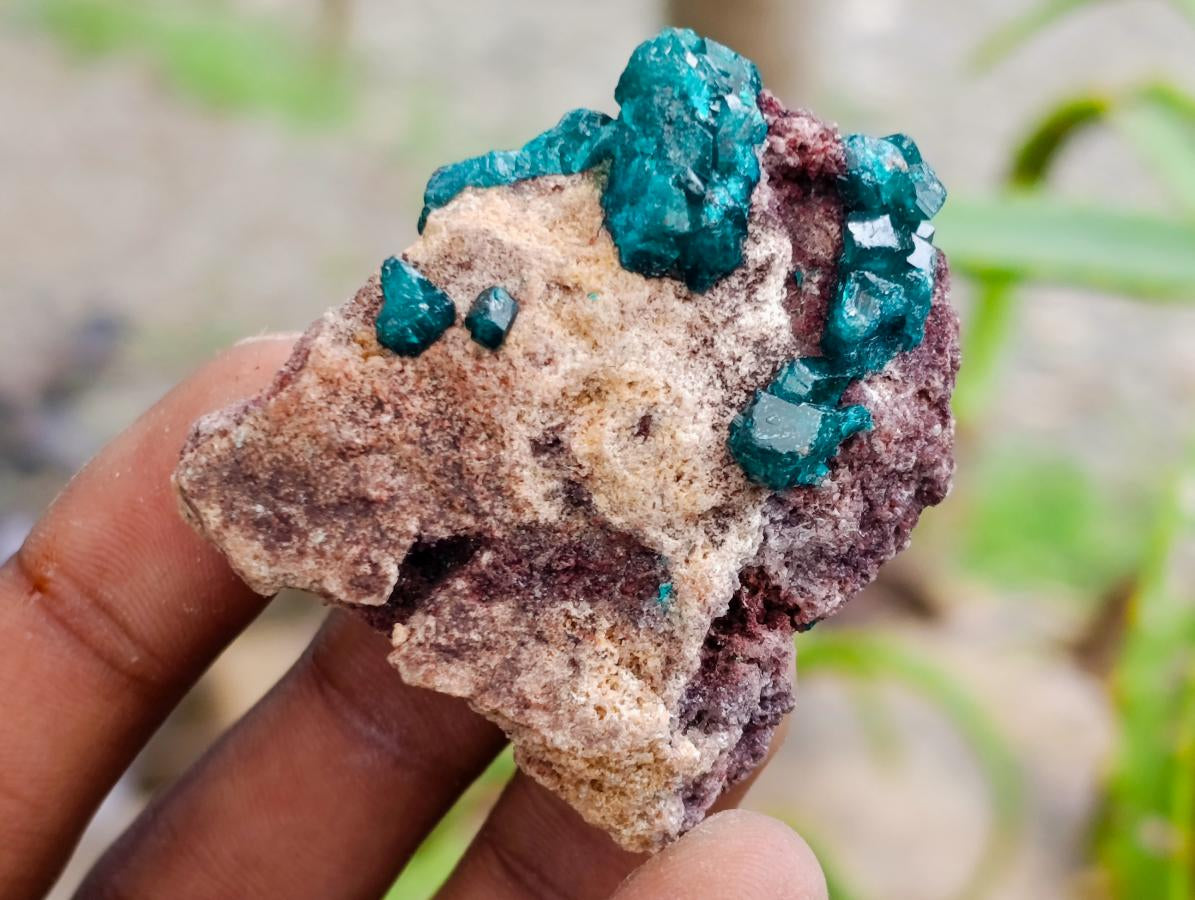 Natural Dioptase on Dolomite Specimens x 12 From Likasi, Congo - Toprock Gemstones and Minerals 