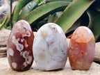 Polished Mixed Agate Standing Free Forms x 3 From Madagascar - Toprock Gemstones and Minerals 