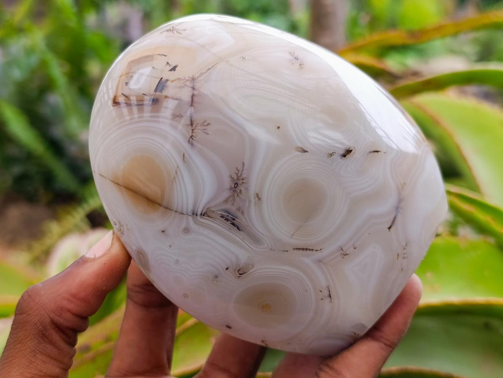 Polished Mixed Agate Standing Free Forms x 3 From Madagascar - Toprock Gemstones and Minerals 