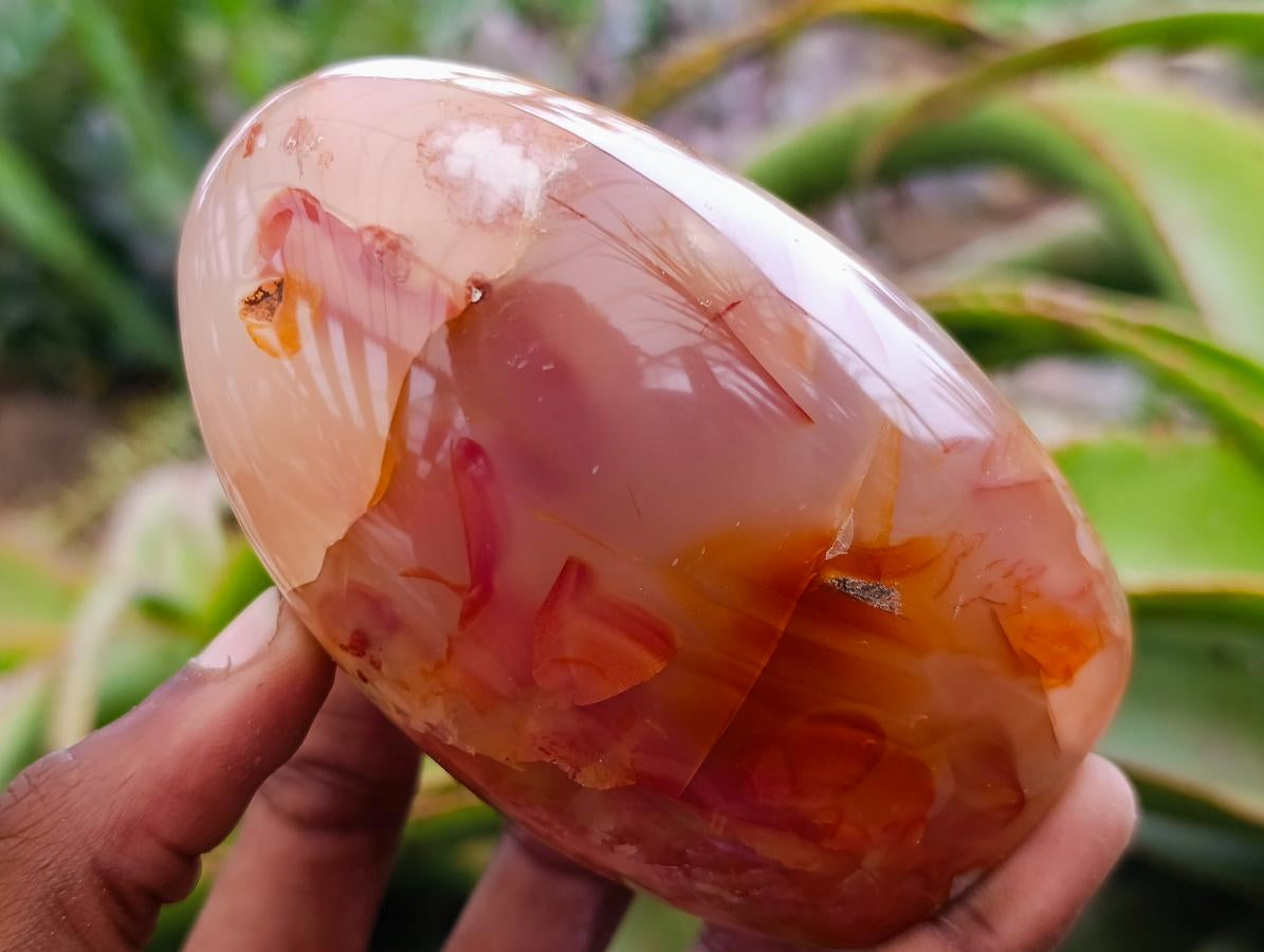 Polished Mixed Agate Standing Free Forms x 3 From Madagascar - Toprock Gemstones and Minerals 