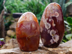 Polished Mixed Agate Standing Free Forms x 3 From Madagascar - Toprock Gemstones and Minerals 