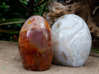 Polished Mixed Agate Standing Free Forms x 3 From Madagascar - Toprock Gemstones and Minerals 