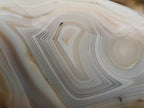 Polished Mixed Agate Standing Free Forms x 3 From Madagascar - Toprock Gemstones and Minerals 