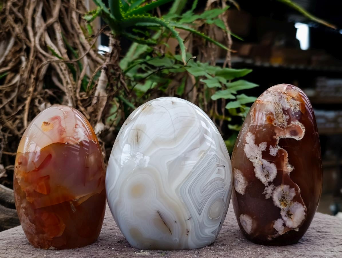 Polished Mixed Agate Standing Free Forms x 3 From Madagascar - Toprock Gemstones and Minerals 