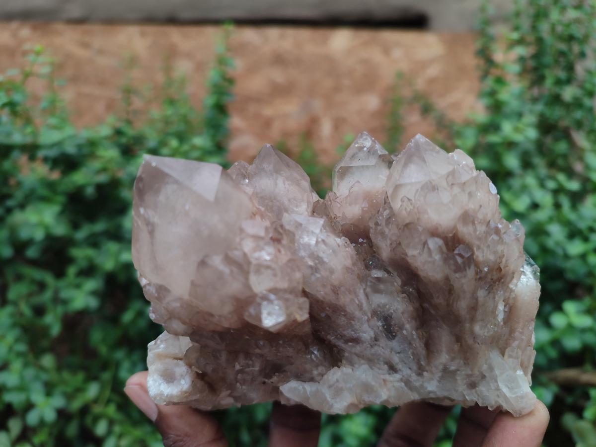 Natural Smokey Quartz Clusters with White Phantoms x 2 From Luena, Congo - Toprock Gemstones and Minerals 