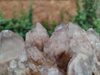 Natural Smokey Quartz Clusters with White Phantoms x 2 From Luena, Congo - Toprock Gemstones and Minerals 