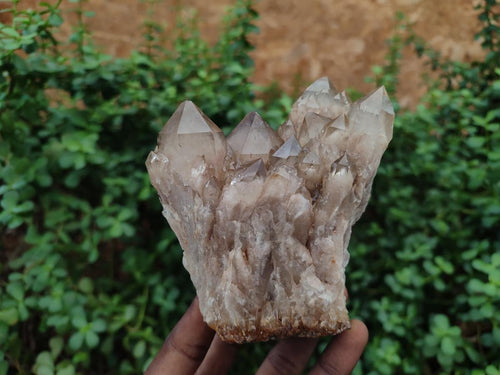 Natural Smokey Quartz Clusters with White Phantoms x 2 From Luena, Congo - Toprock Gemstones and Minerals 