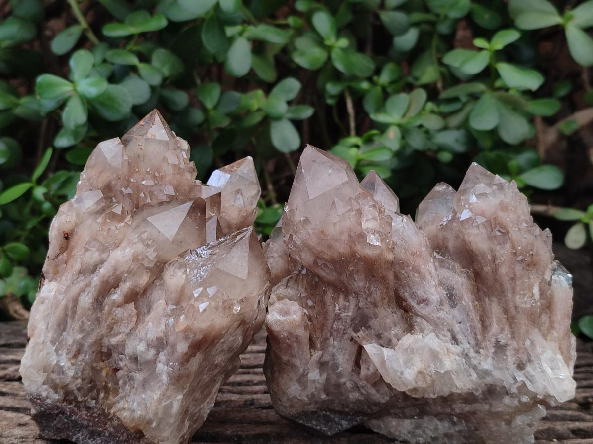 Natural Smokey Quartz Clusters with White Phantoms x 2 From Luena, Congo - Toprock Gemstones and Minerals 