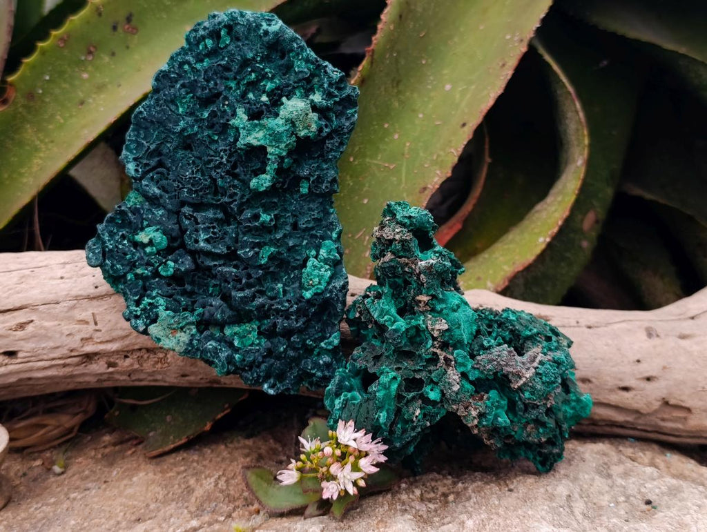 Natural Silky Malachite Specimens x 4 From Kasompe, Congo - Toprock Gemstones and Minerals 