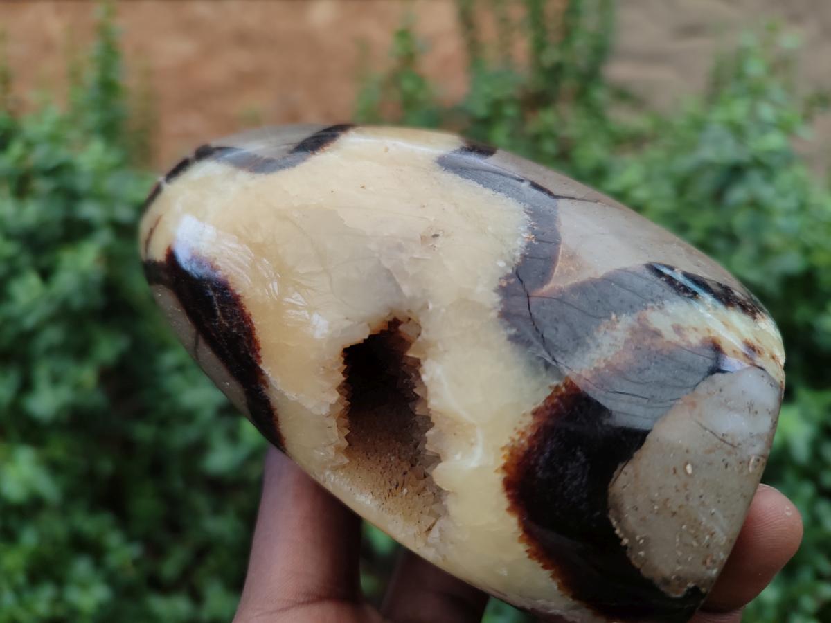 Polished Septerye Standing Free Form x 3 From Mahajanga, Madagascar - Toprock Gemstones and Minerals 