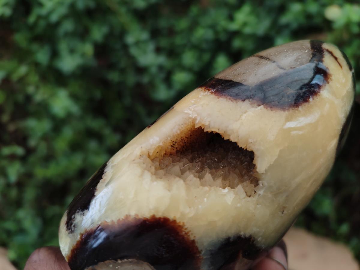 Polished Septerye Standing Free Form x 3 From Mahajanga, Madagascar - Toprock Gemstones and Minerals 