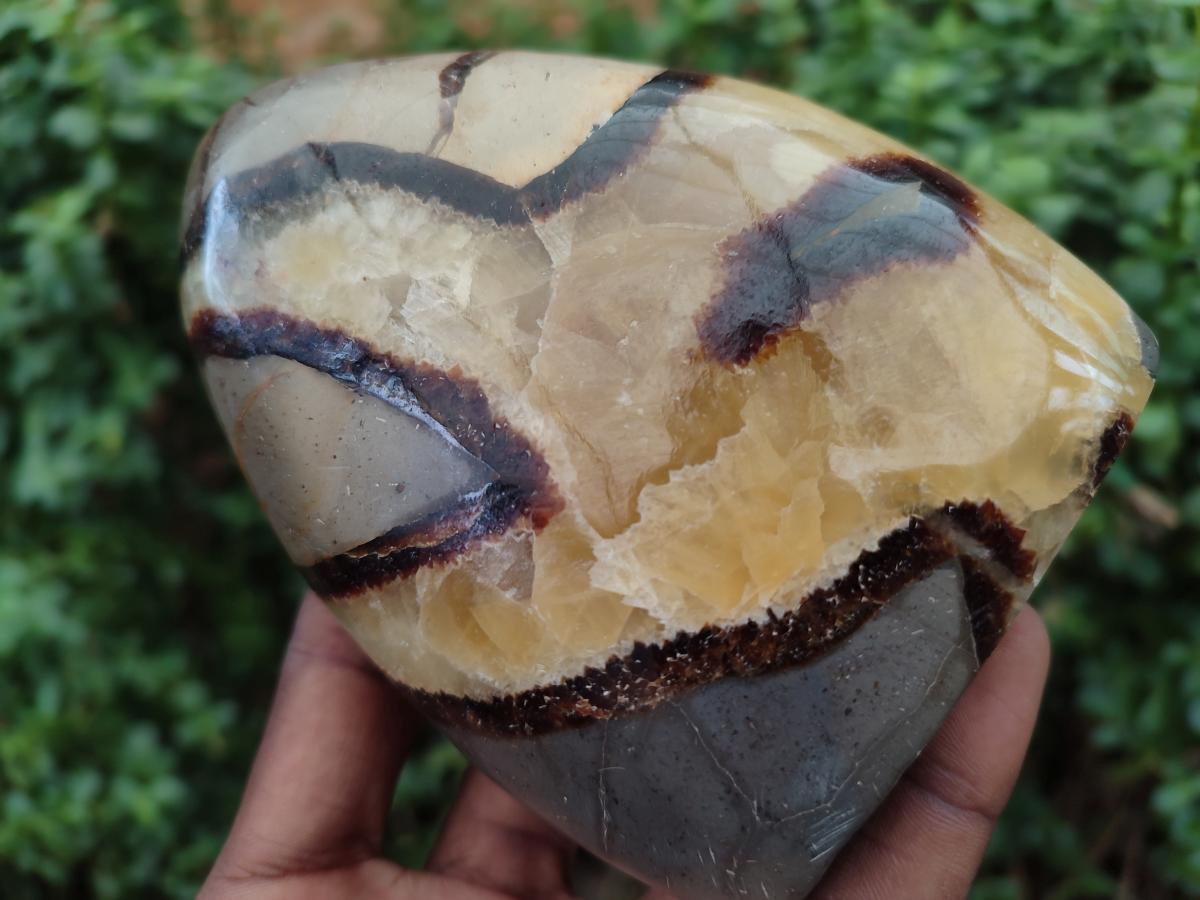 Polished Septerye Standing Free Form x 3 From Mahajanga, Madagascar - Toprock Gemstones and Minerals 