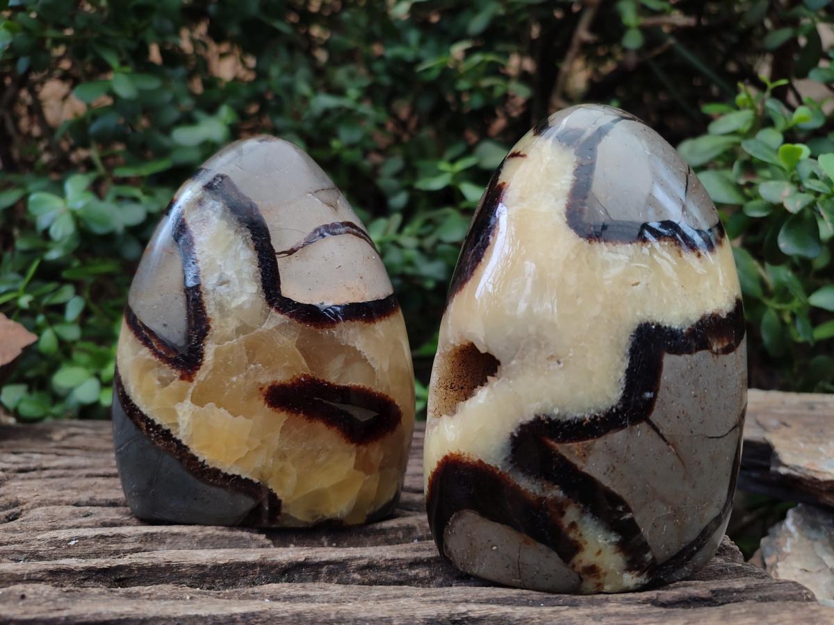 Polished Septerye Standing Free Form x 3 From Mahajanga, Madagascar - Toprock Gemstones and Minerals 