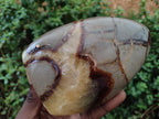 Polished Septerye Standing Free Form x 3 From Mahajanga, Madagascar - Toprock Gemstones and Minerals 