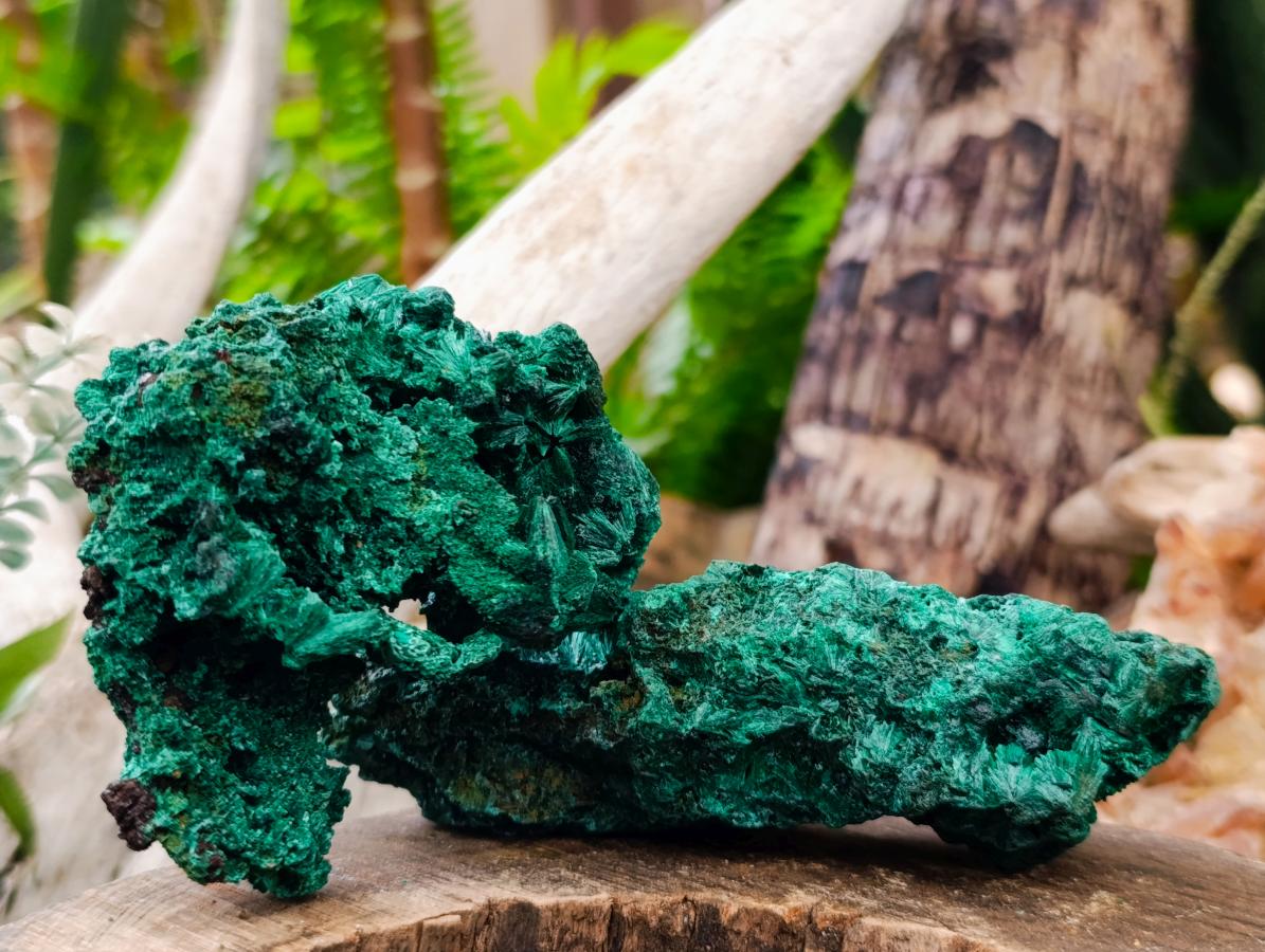Natural Silky Malachite Specimens x 4 From Kasompe, Congo - Toprock Gemstones and Minerals 