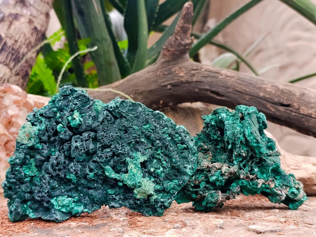 Natural Silky Malachite Specimens x 4 From Kasompe, Congo - Toprock Gemstones and Minerals 