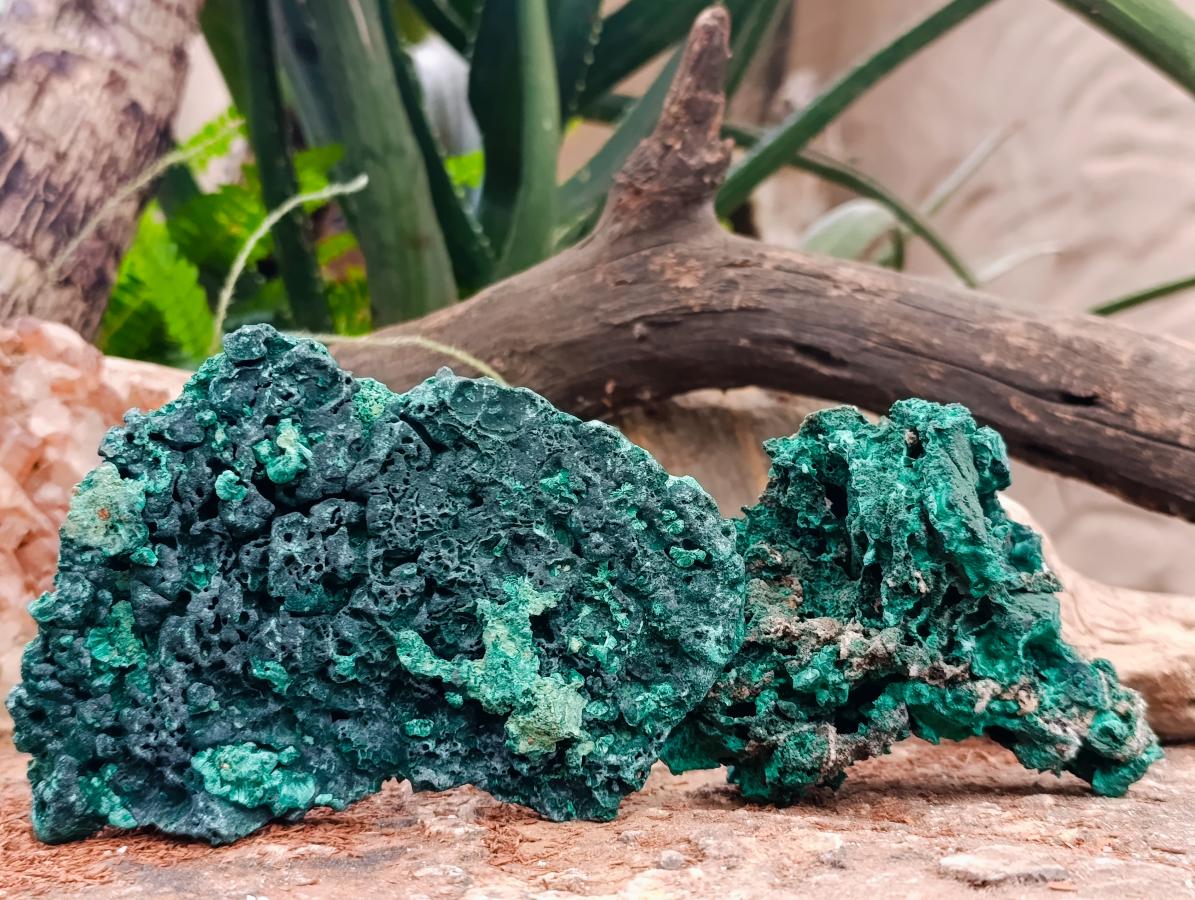 Natural Silky Malachite Specimens x 4 From Kasompe, Congo - Toprock Gemstones and Minerals 