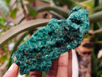Natural Silky Malachite Specimens x 4 From Kasompe, Congo - Toprock Gemstones and Minerals 