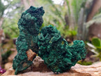 Natural Silky Malachite Specimens x 4 From Kasompe, Congo - Toprock Gemstones and Minerals 