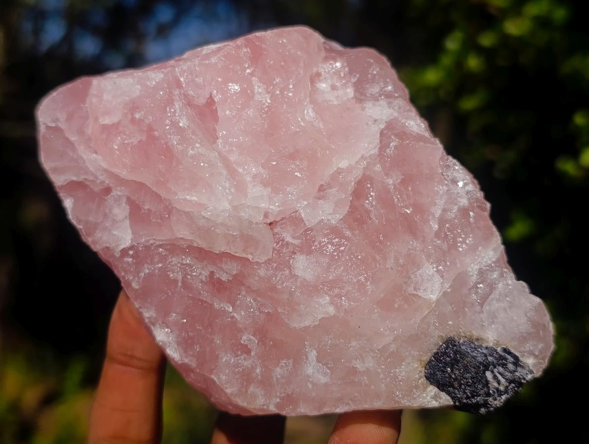 Natural Cobbed Rose Quartz Specimens x 12 From Northern Cape, South Africa - Toprock Gemstones and Minerals 