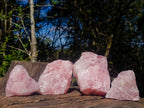 Natural Cobbed Rose Quartz Specimens x 12 From Northern Cape, South Africa - Toprock Gemstones and Minerals 