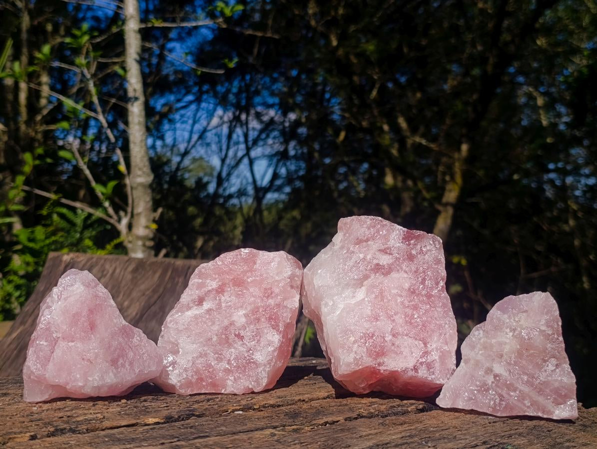 Natural Cobbed Rose Quartz Specimens x 12 From Northern Cape, South Africa - Toprock Gemstones and Minerals 