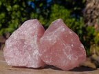 Natural Cobbed Rose Quartz Specimens x 12 From Northern Cape, South Africa - Toprock Gemstones and Minerals 
