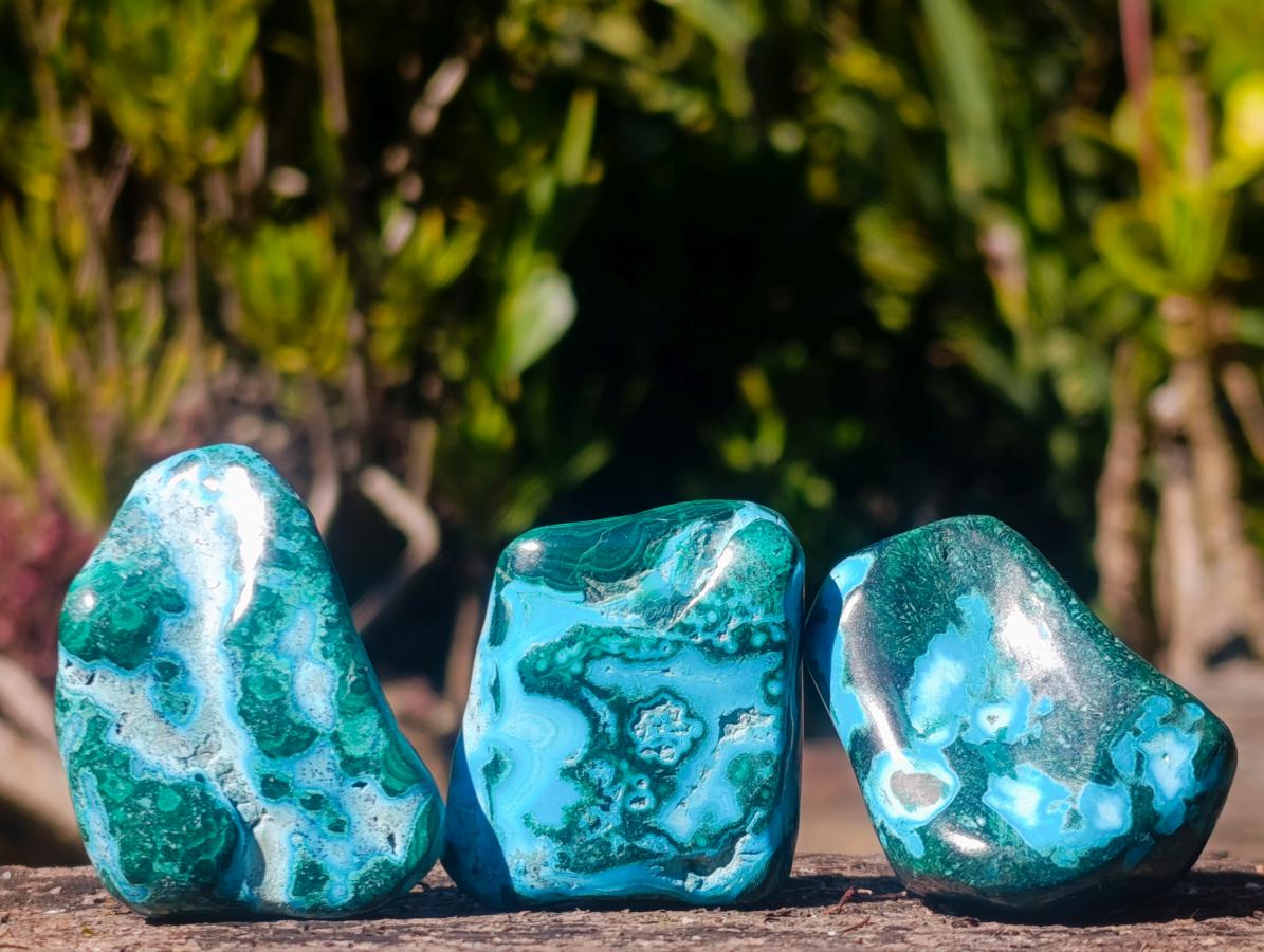 Polished Malacolla Free Forms x 35 From Kulukuluku, Congo - Toprock Gemstones and Minerals 