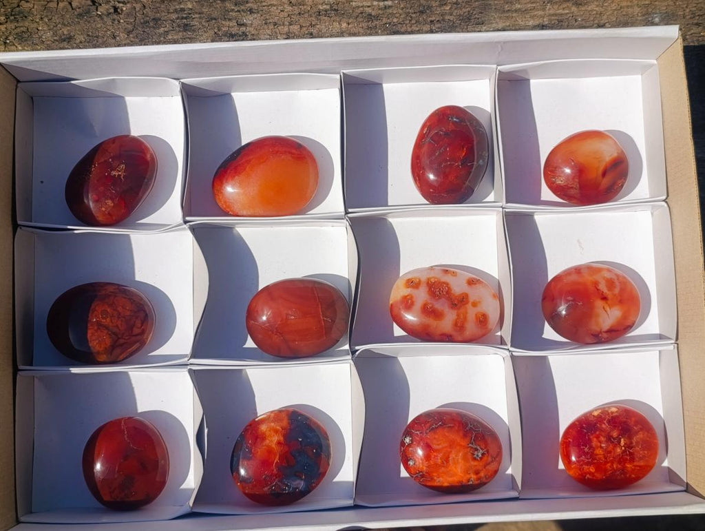 Polished Carnelian Agate Gemstone Galets x 12 From Madagascar - Toprock Gemstones and Minerals 