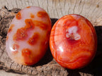 Polished Carnelian Agate Gemstone Galets x 12 From Madagascar - Toprock Gemstones and Minerals 