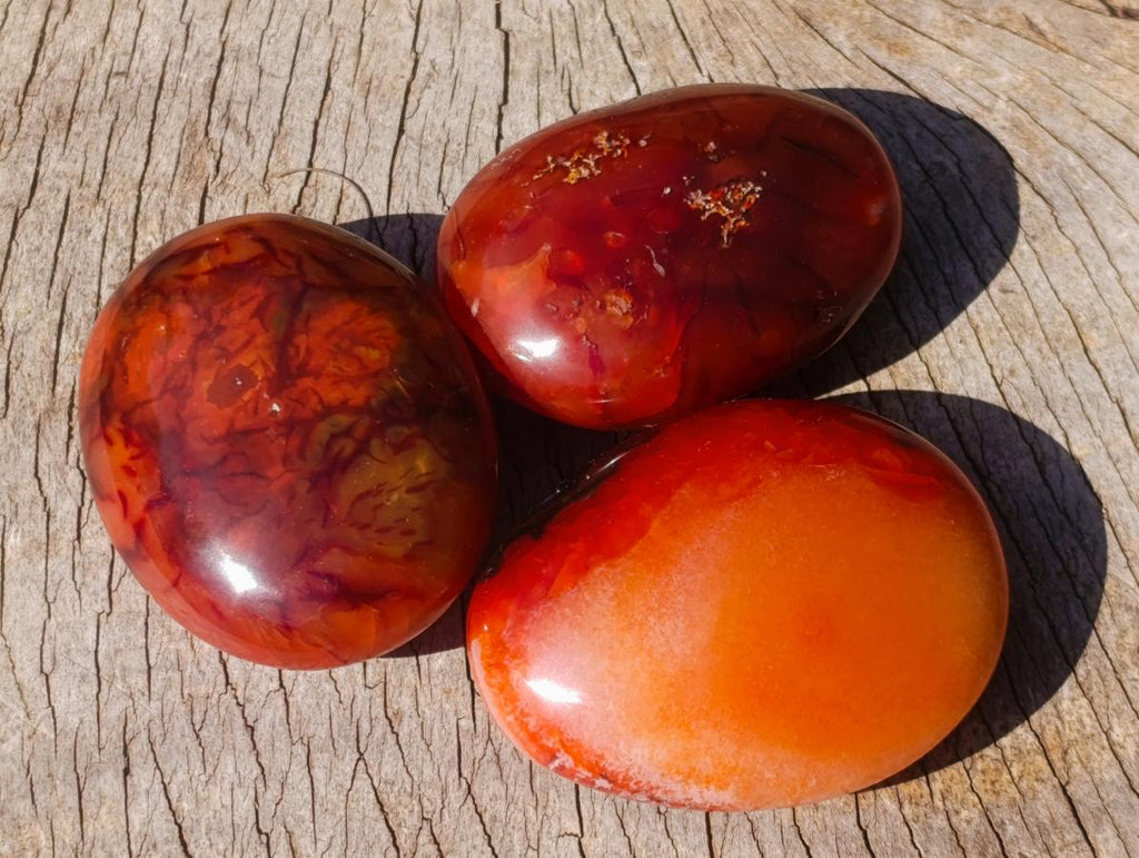 Polished Carnelian Agate Gemstone Galets x 12 From Madagascar - Toprock Gemstones and Minerals 
